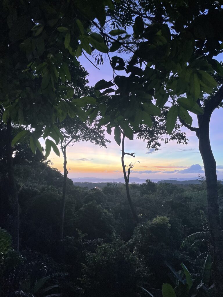 Paysage naturel évoquant la régulation du système nerveux et la reconnexion à soi par la Somatic Experiencing à Bruxelles