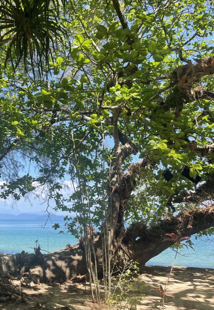 Séance de toucher thérapeutique à Bruxelles